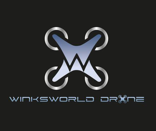Logowinxdrone